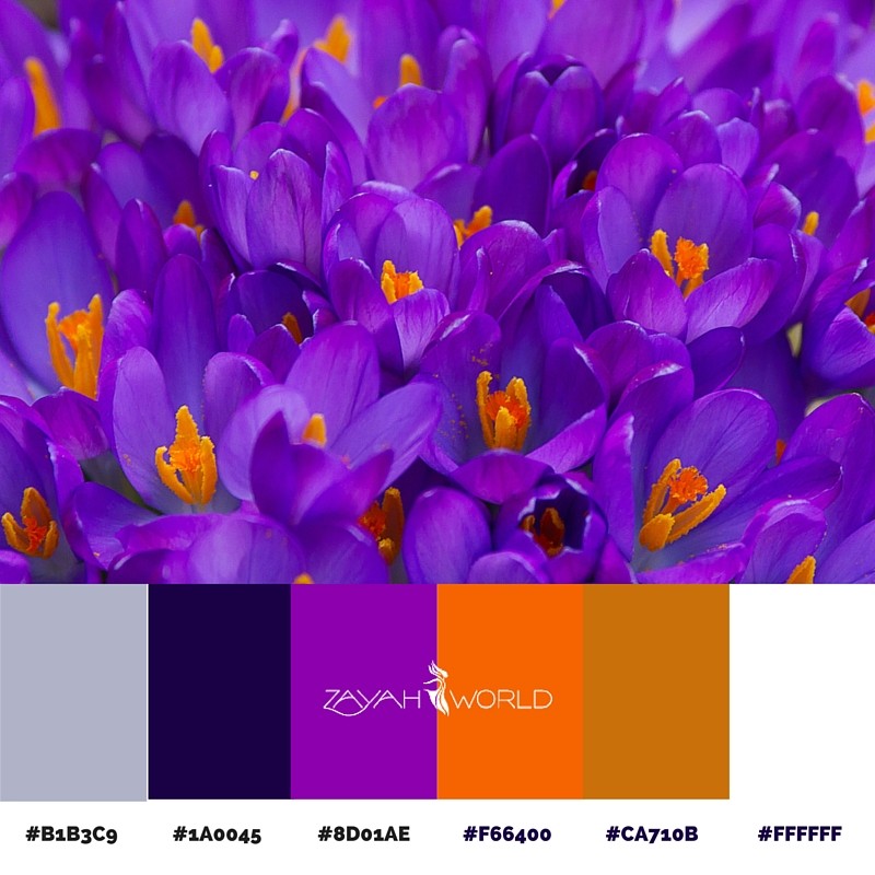 Spring Colour Palette by Zayah World - Crocus Booms