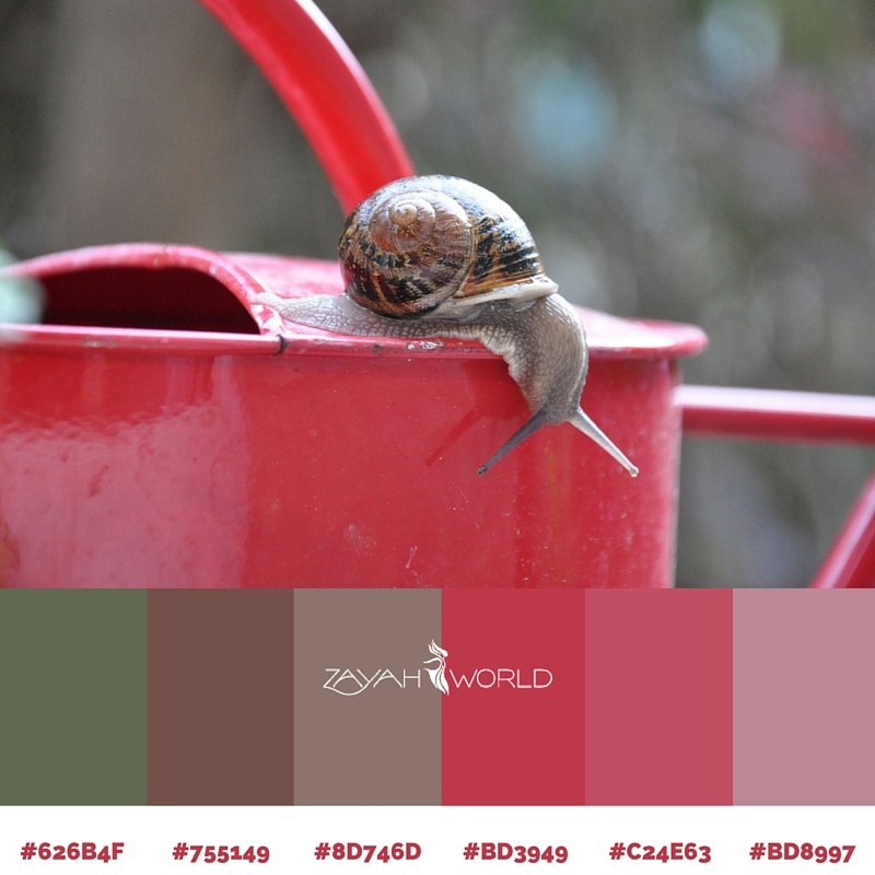 Spring Colour Palette by Zayah World - Inquisitive Snail