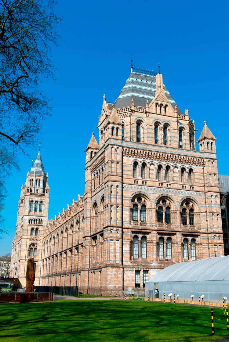 Natural History Museum London