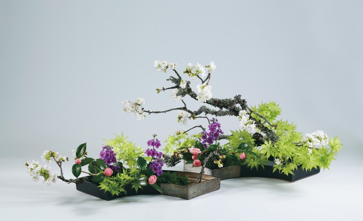 Japanese Ikebana - Ohara School