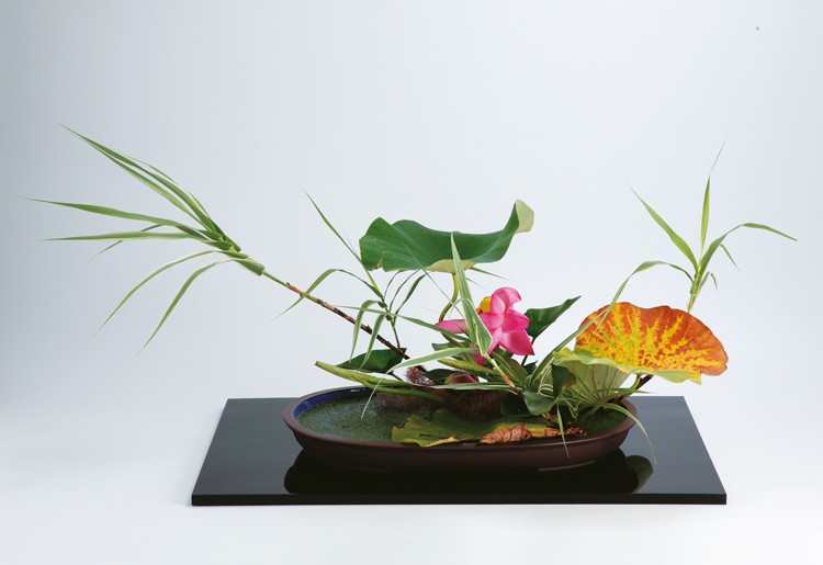 Landscape Moribana Ohara arrangement