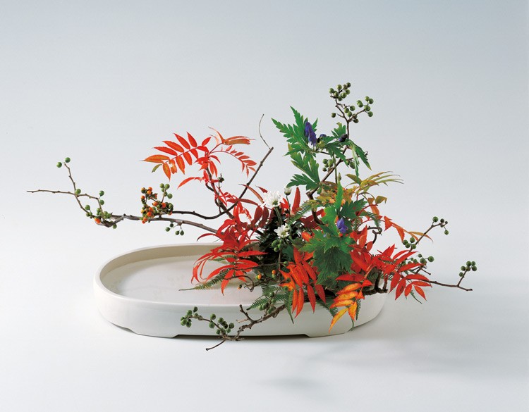 Japanese Ikebana from Ohara School