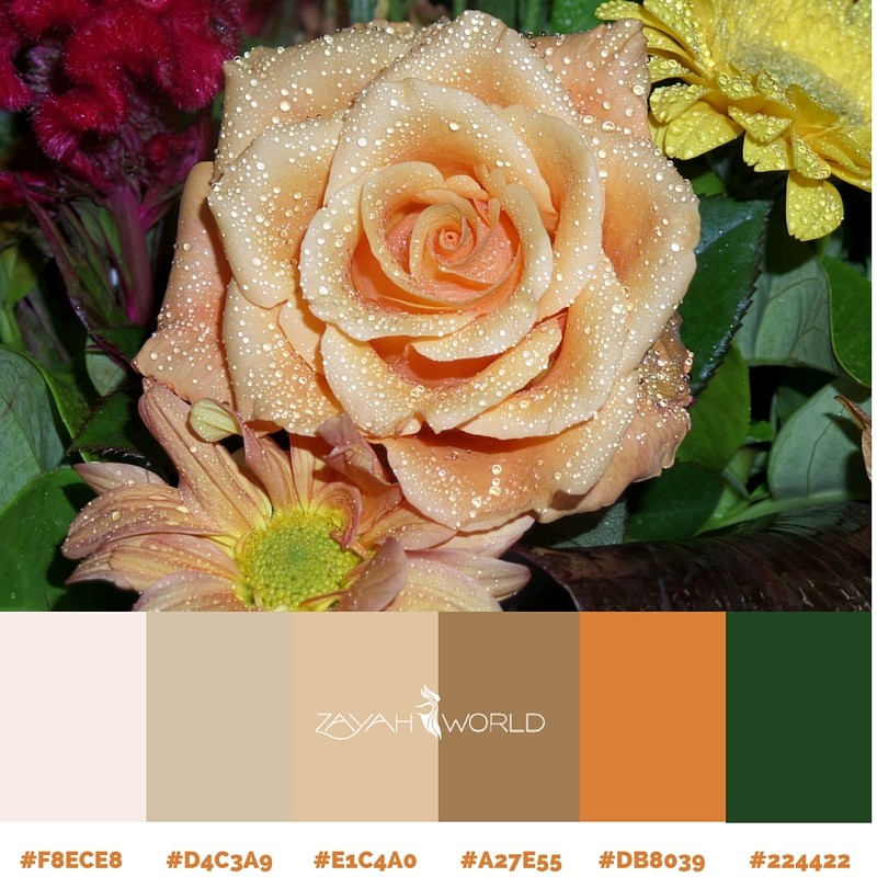 Spring Colour Palette by Zayah World - Perfect Rose