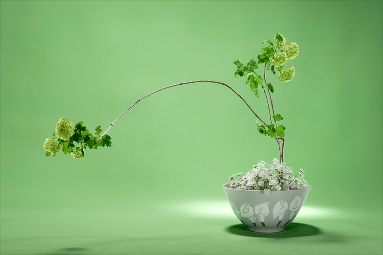 Sogetsu Ikebana