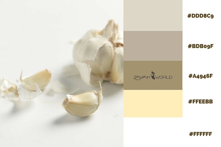 Spring Colour Palette by Zayah World - Useful Pod