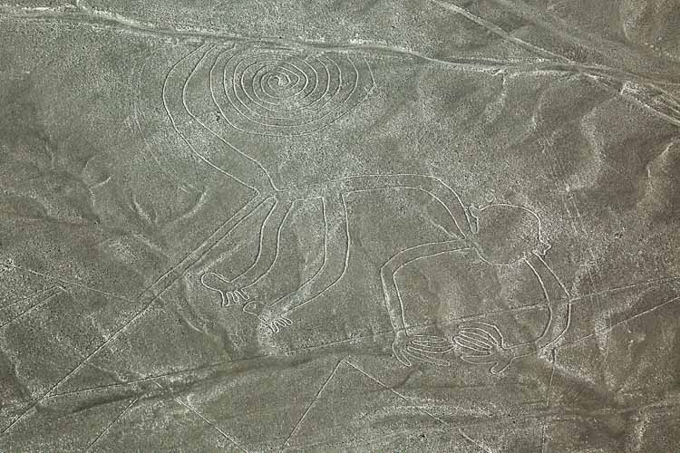 Nazca line - Monkey image